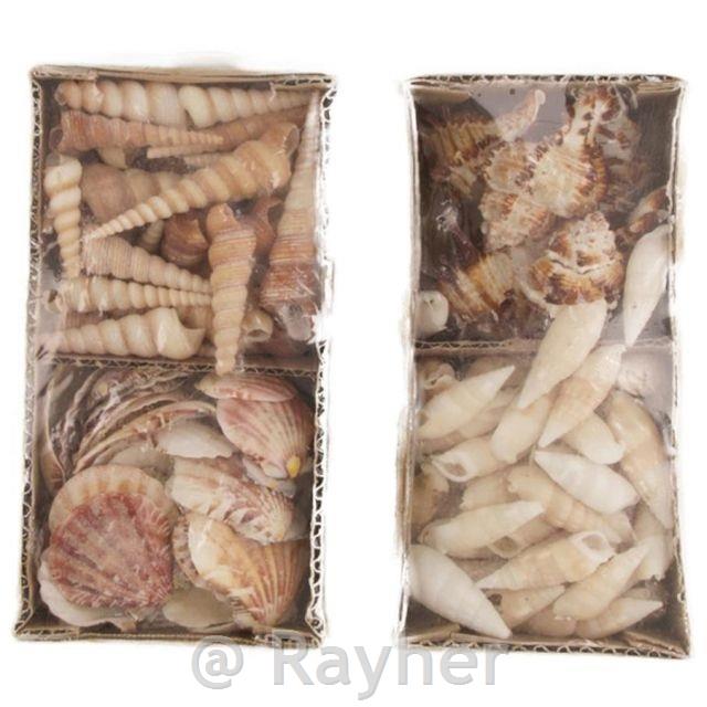 Školjke mešane, 19x9cm