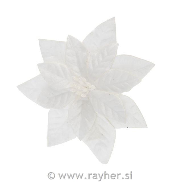 Žametni cvet božične zvezde, 16CM, bel