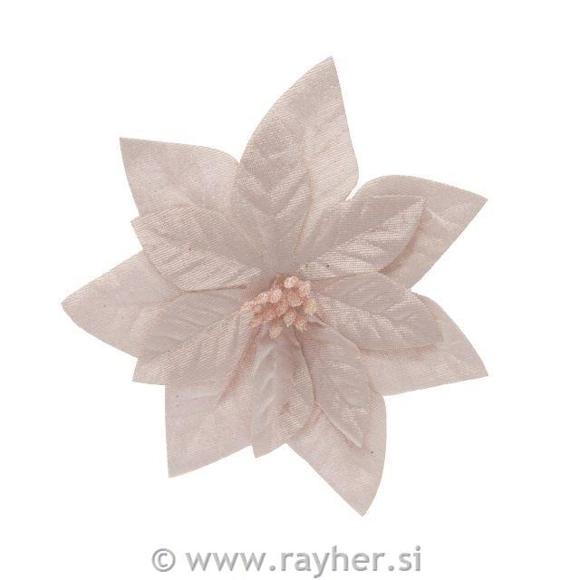 Žametni cvet božične zvezde, 16cm, nežno roza