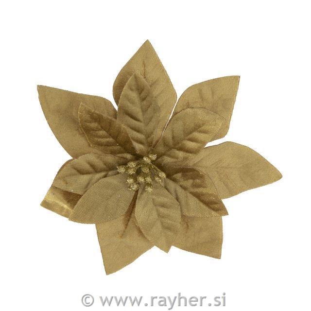 Žametni cvet božične zvezde, 16cm, zlat