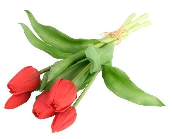 Šopek tulipanov, rdeči, 30cm, set 5