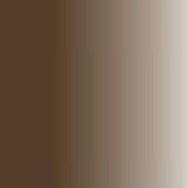 Akrilna barva Sys3 Fluid 29,5ml Raw Umber