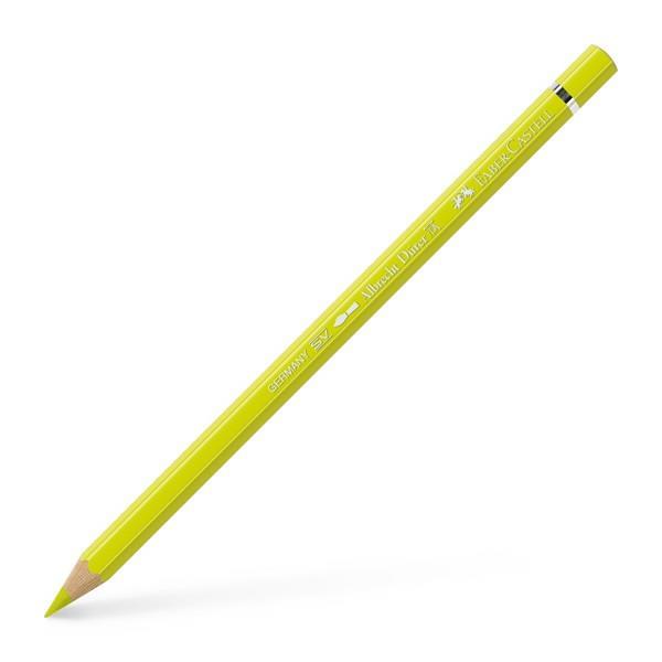 Watercol.pencil A.Dürer 205 cadm.yellow