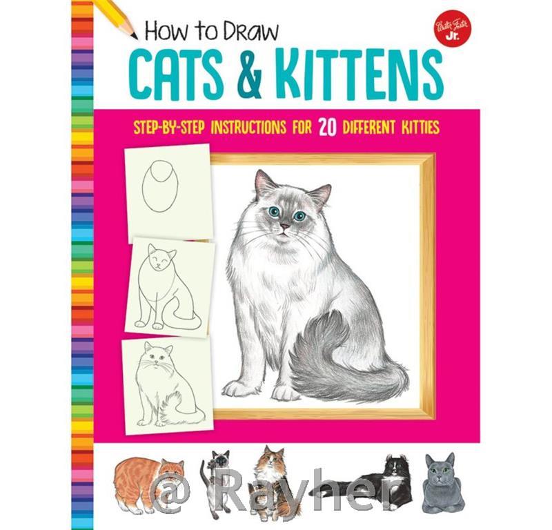 Knjiga How To Draw Cats and Kittens