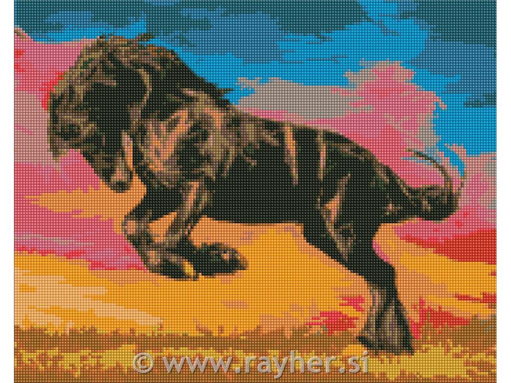 Diamond mosaic, 40x50 cm