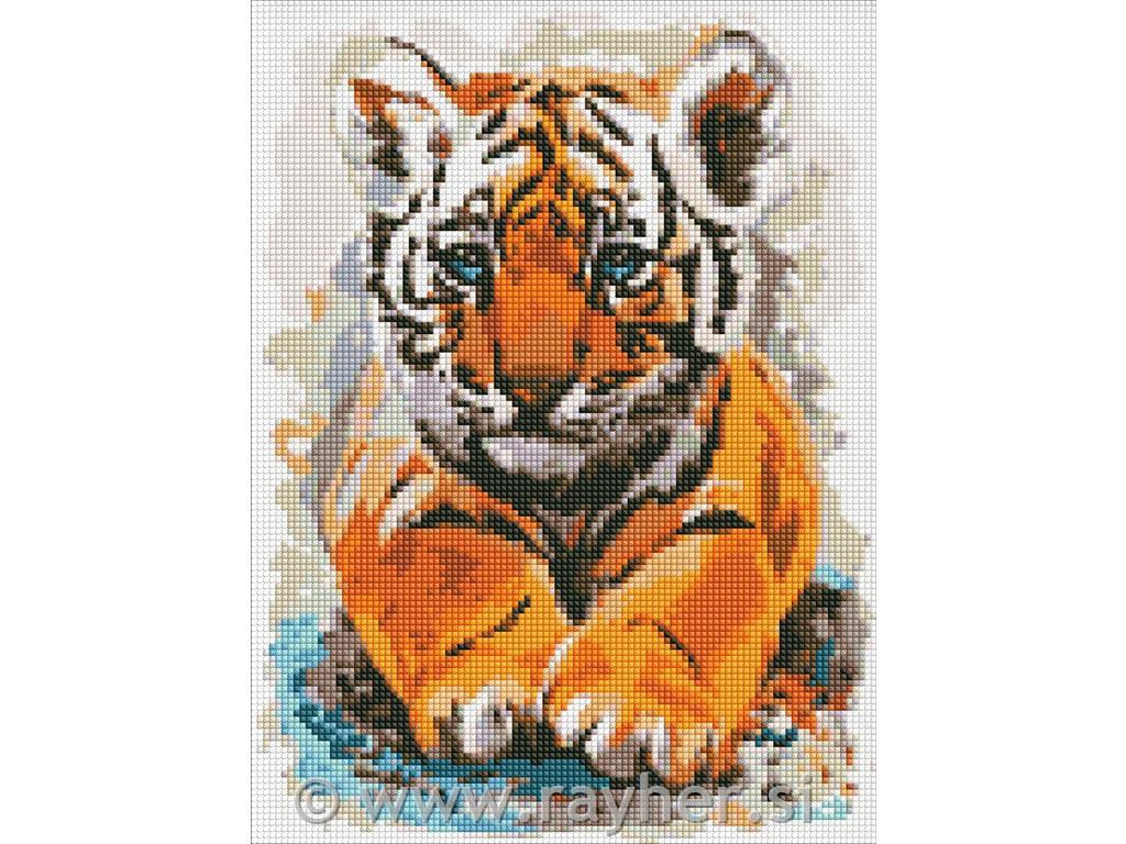 Diamantni mozaik, Little tiger cub, 30x40 cm