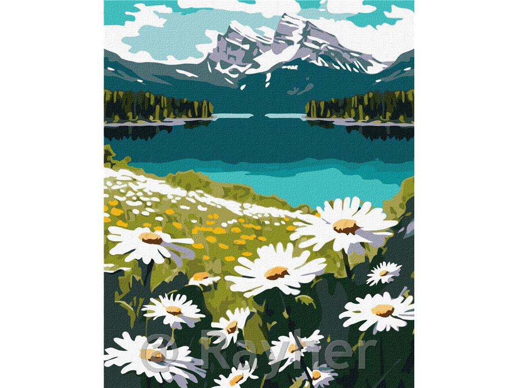 Slikanje po številkah, Blooming daisies, 40x50 cm