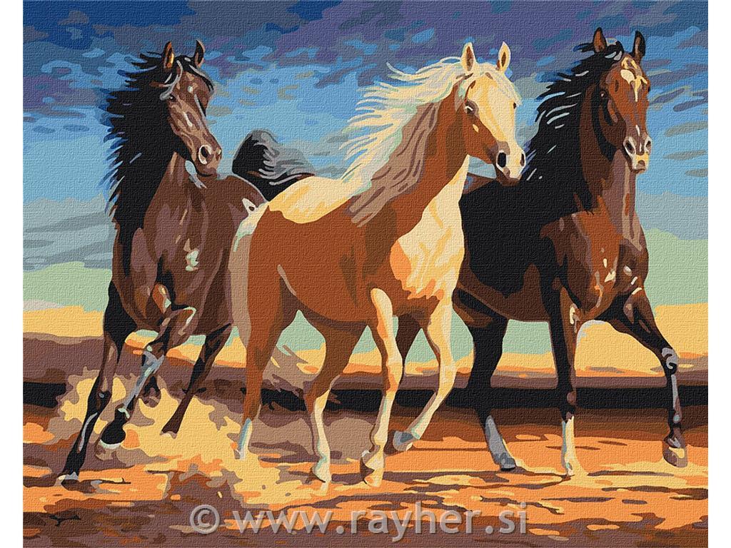 Slikanje po številkah, Horses, 40x50 cm