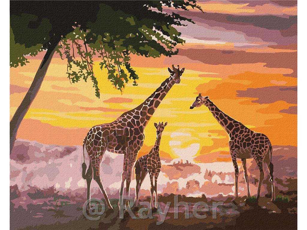 Slikanje po številkah, A family of giraffes