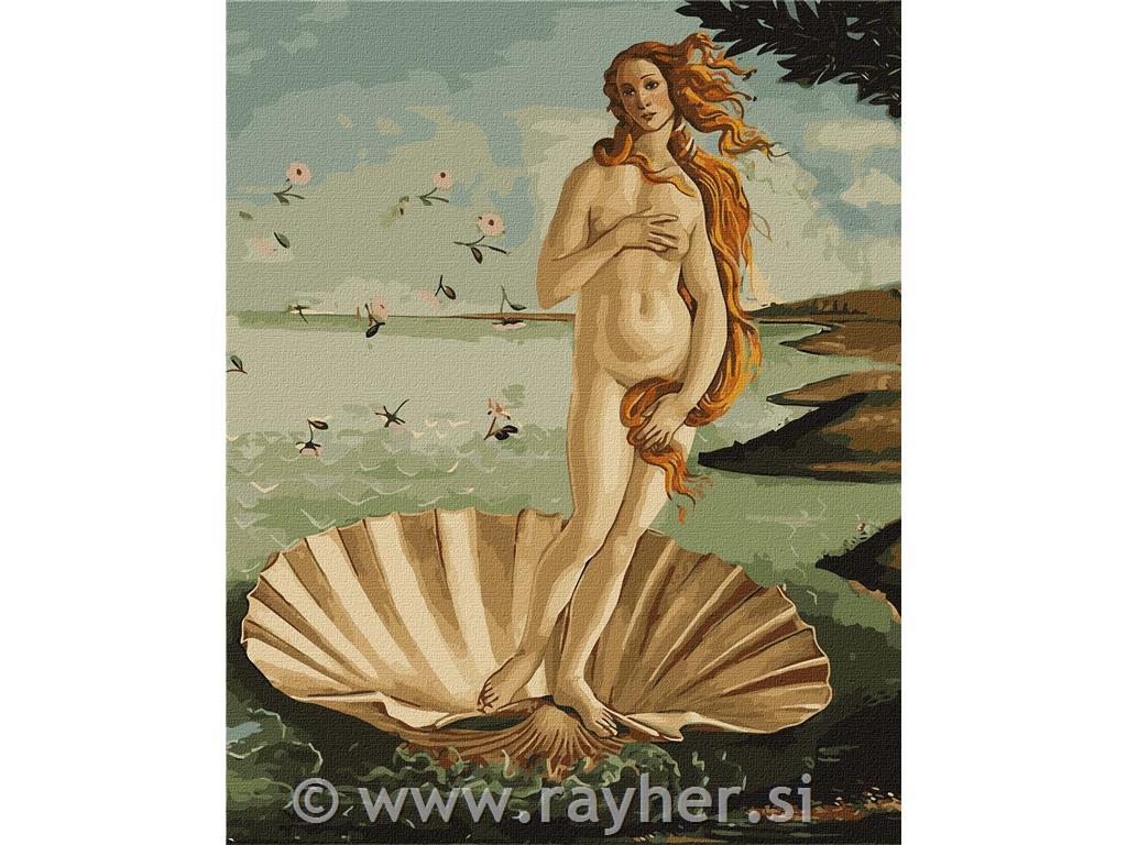 Slikanje po številkah, Birth of Venus, 40x50 cm