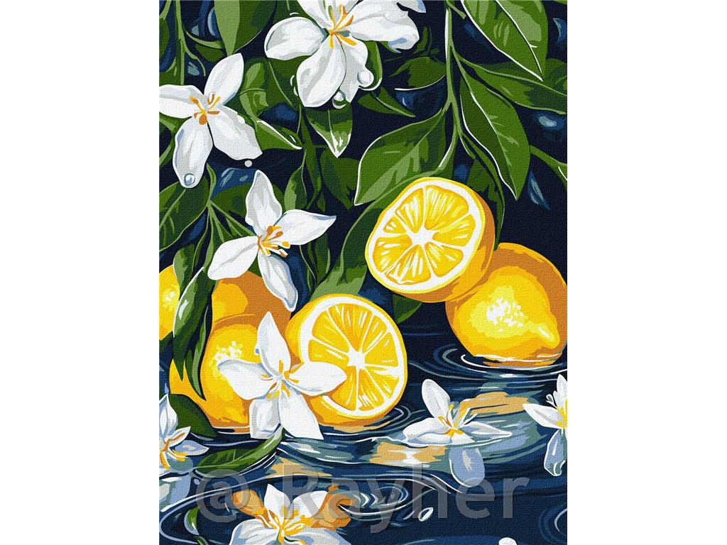Slikanje po številkah, Lemon in section