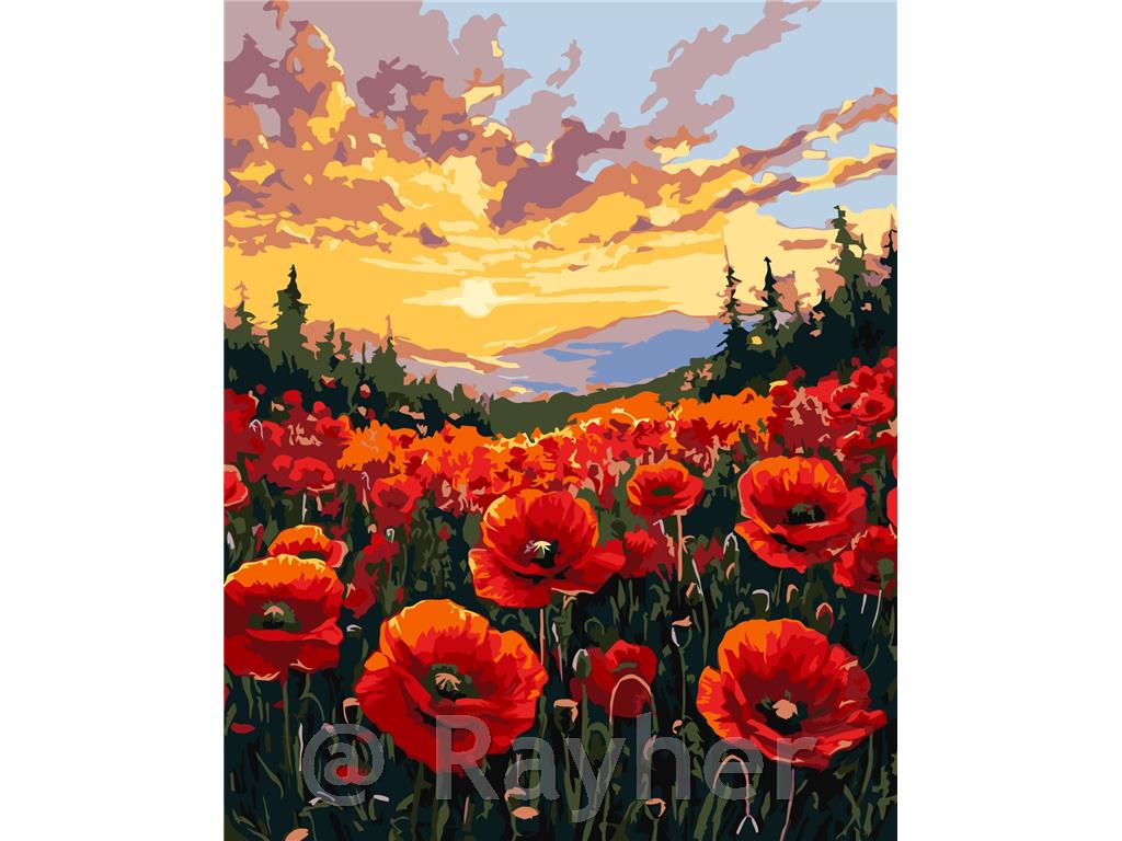 Slikanje po številkah, A field of poppies