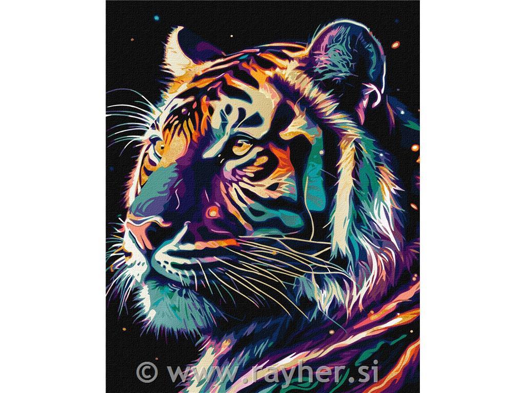 Slikanje po številkah, Fantastic tiger, 40x50 cm