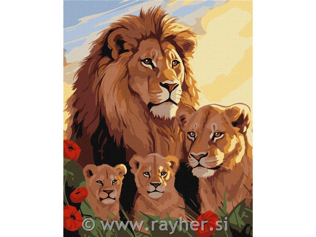Slikanje po številkah, Lion family, 40x50 cm