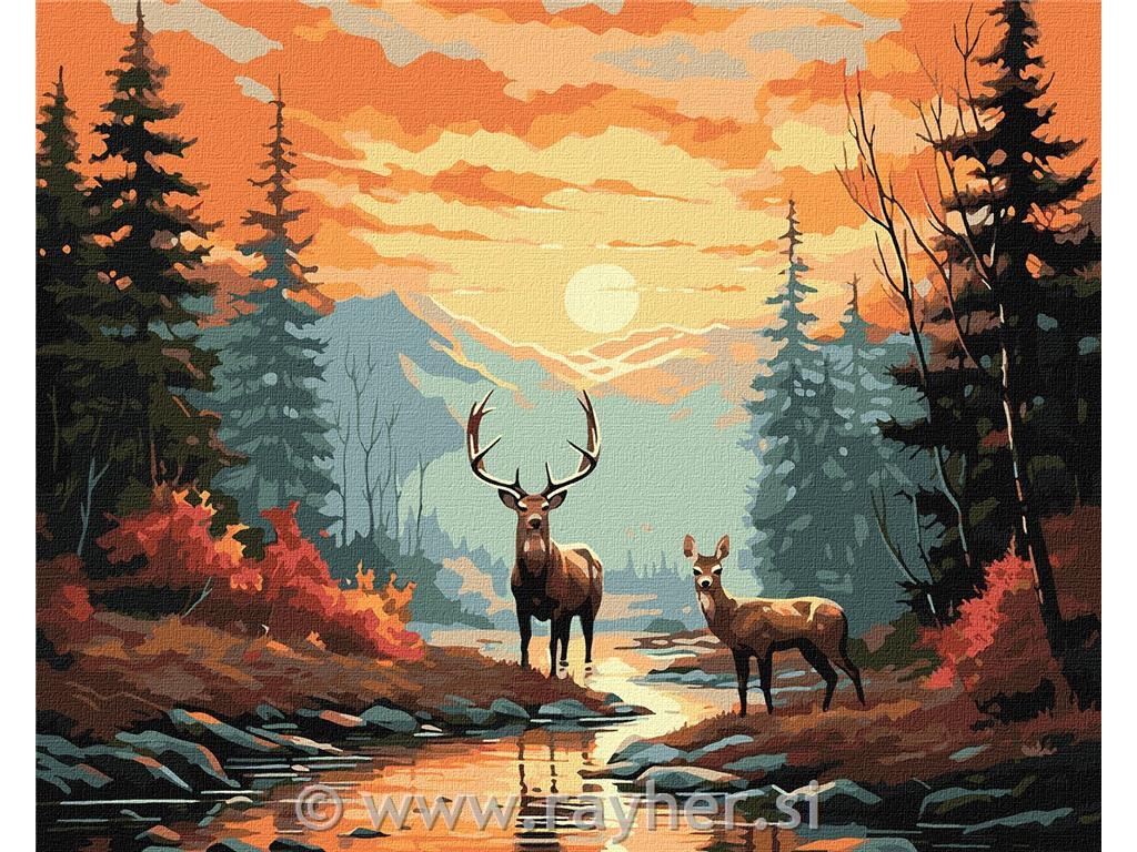 Painting by Numbers, Refined deers, 40x50 cm