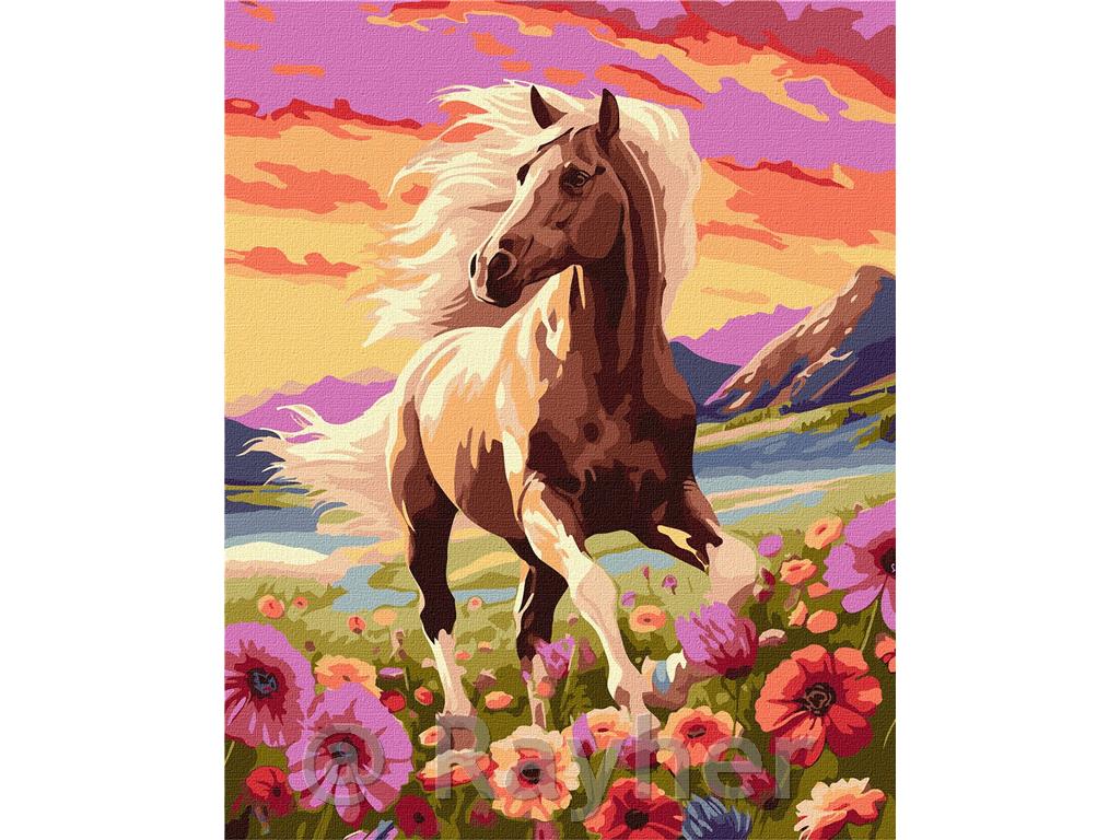 Slikanje po številkah, A graceful horse, 40x50 cm