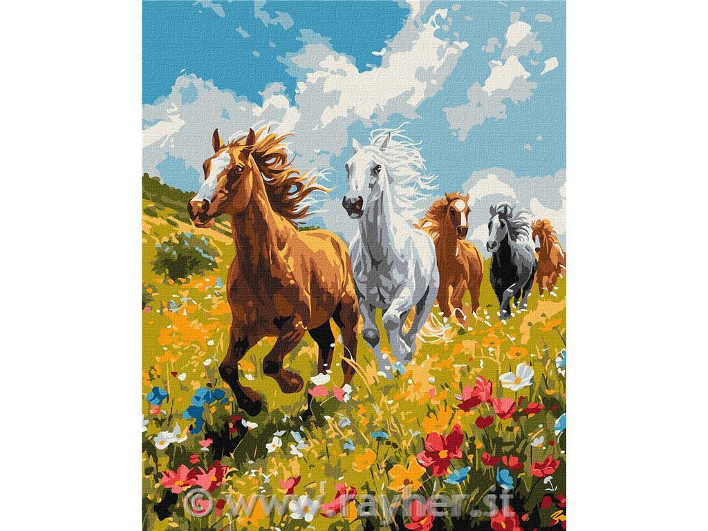 Slikanje po številkah, Harmony in the field, 40x50 cm