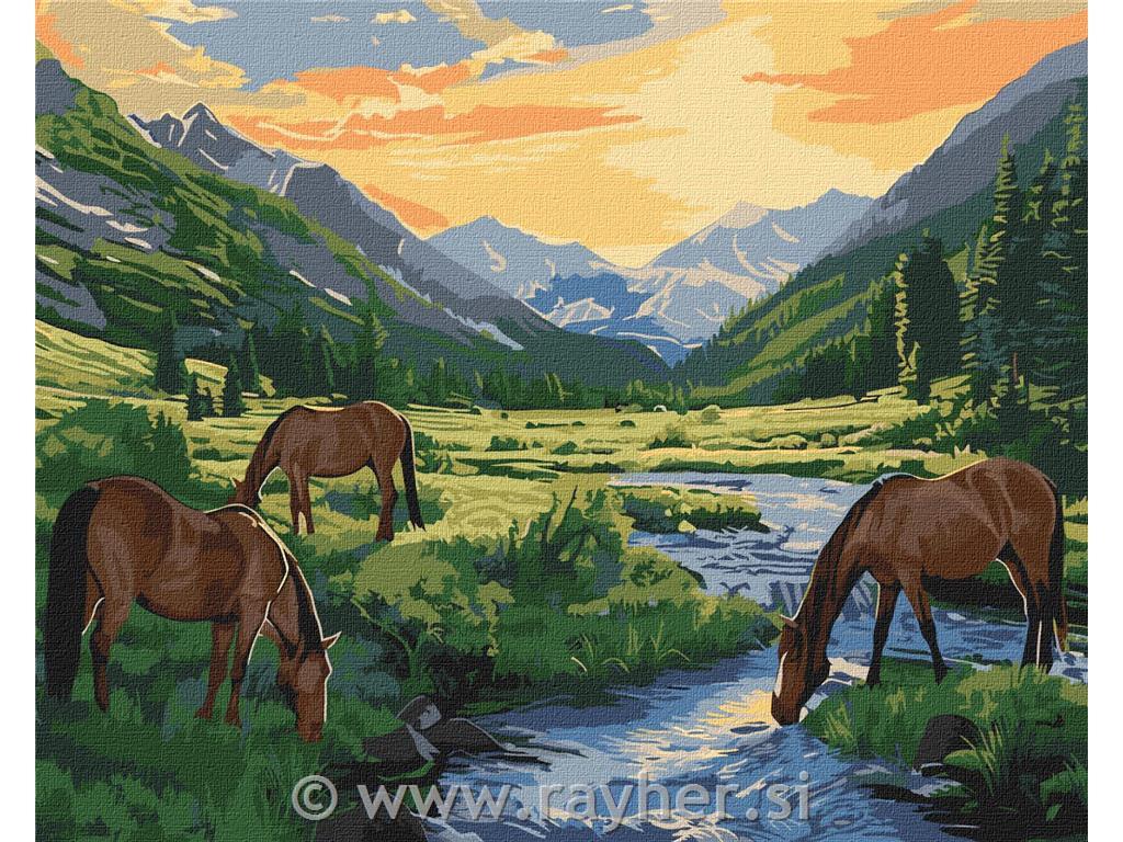 Slikanje po številkah, Morning hour, 40x50 cm