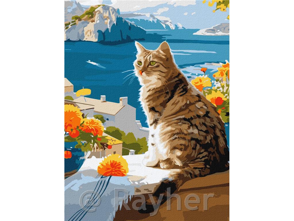 Slikanje po številkah, A dreamy kitten