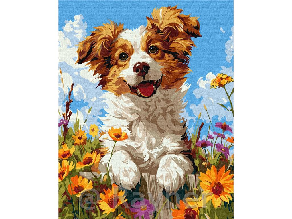 Slikanje po številkah, A dog in flowers