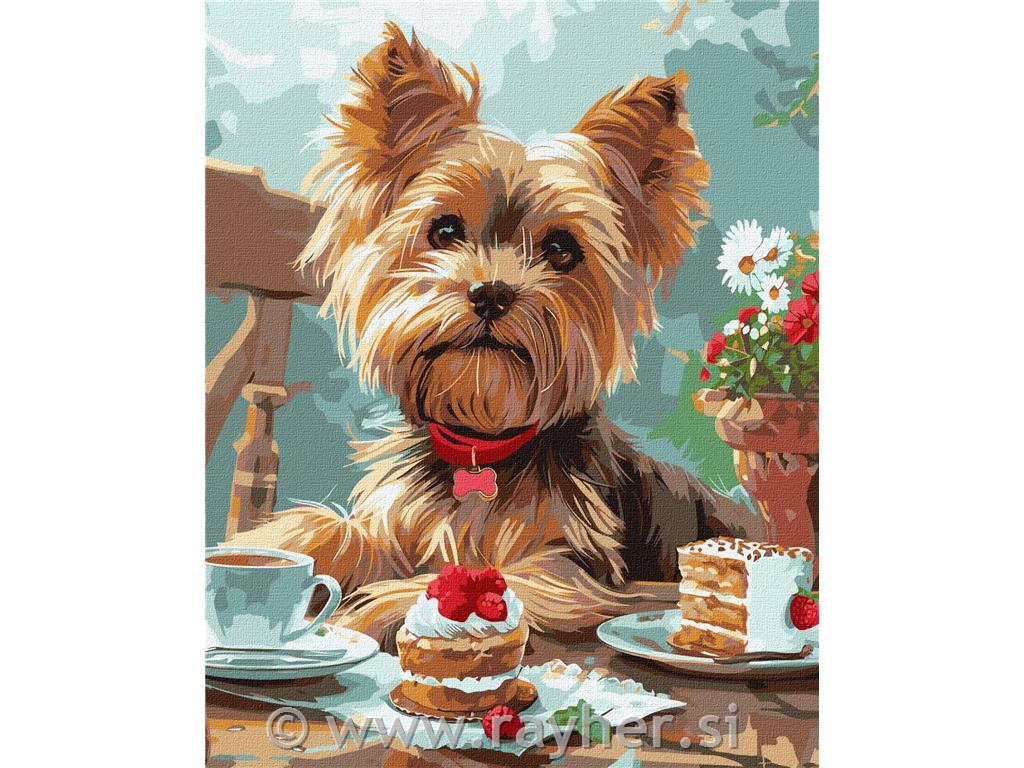 Painting by Numbers,Yorkie's tea party, 40x50 cm