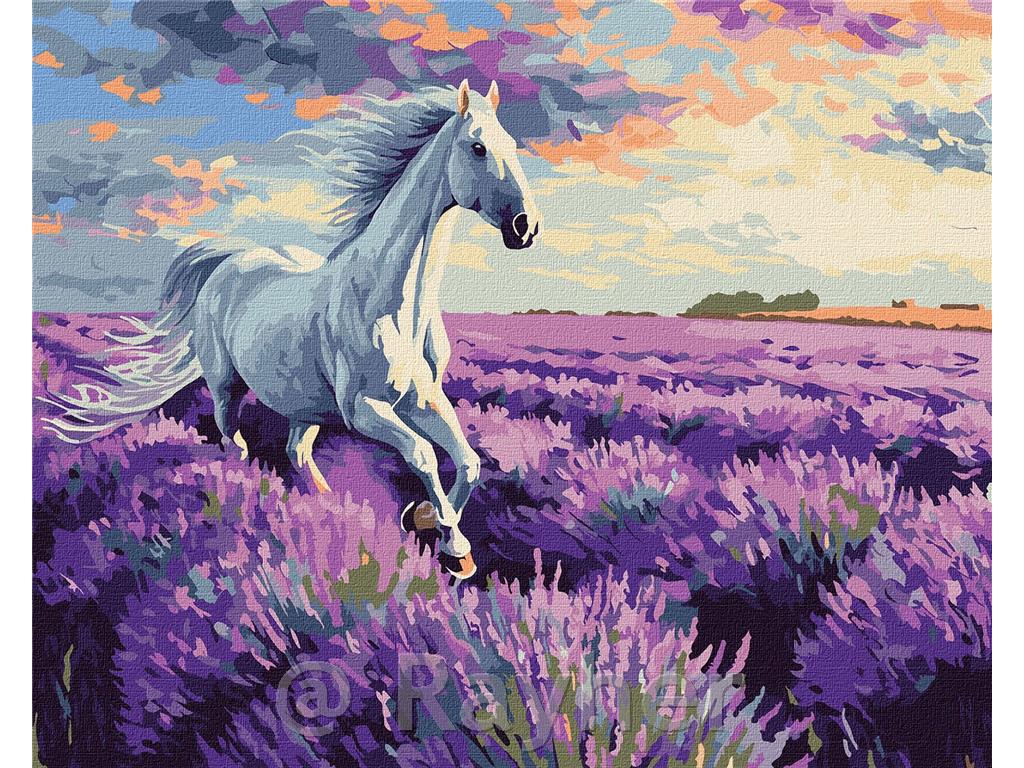 Slikanje po številkah, In the lavender fields