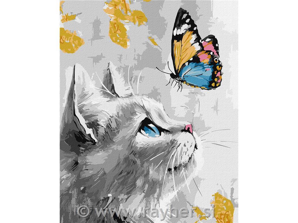 Slikanje po številkah, Dreamy kitten, 40x50 cm