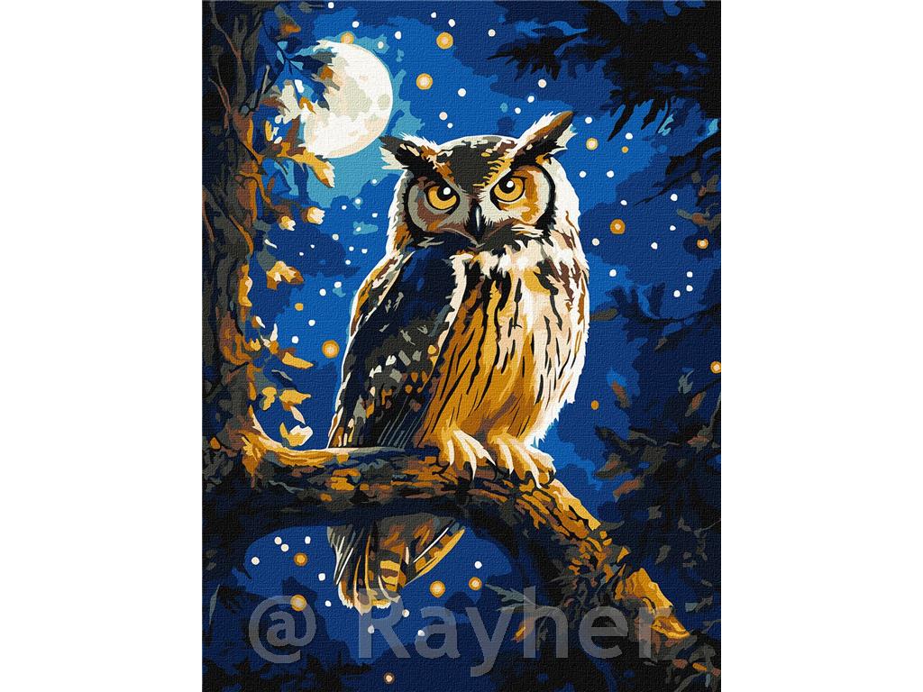 Slikanje po številkah, Night owl, s kovinskimi barvami