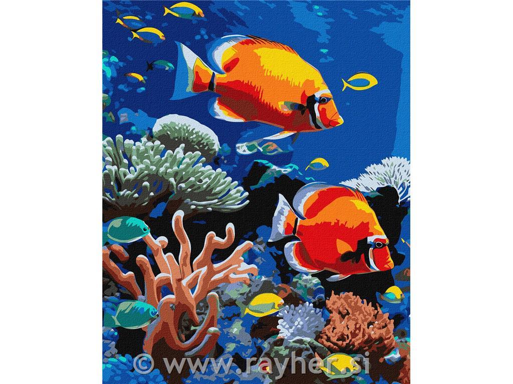 Slikanje po številkah, A bright reef, 40x50 cm