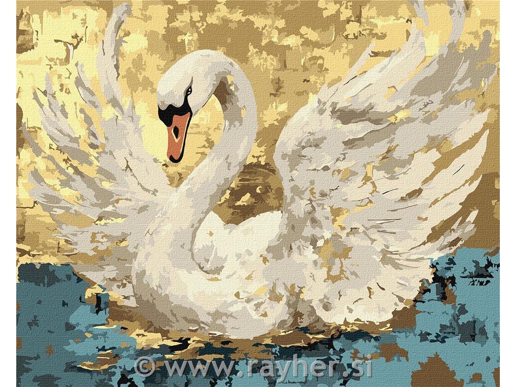 Slikanje po številkah, Wingspan, 40x50 cm