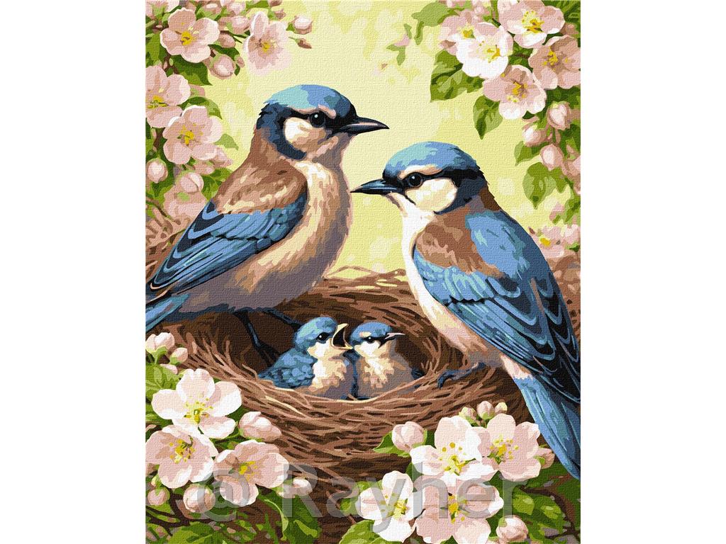 Slikanje po številkah, Tit Family in Blossom