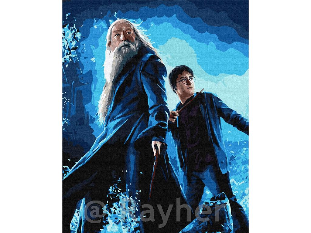 Slikanje po številkah, Harry Potter: Harry and Dumbledore, s kovinskimi barvami