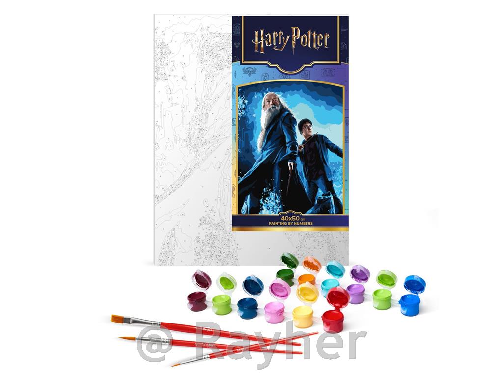 Slikanje po številkah, Harry Potter: Harry & Dumbledore, s kov. barvami, 40x50cm