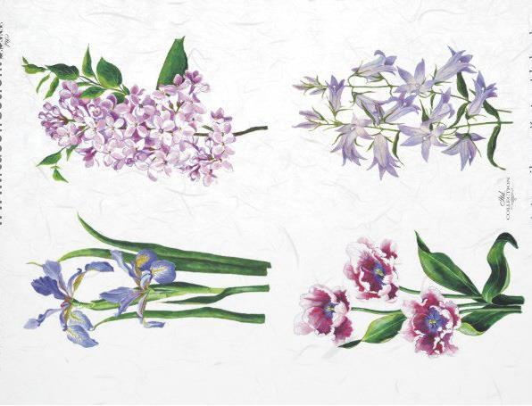 DECOUPAGE PAPIR RIŽEV A4,TULIPAN, ŠPANSK