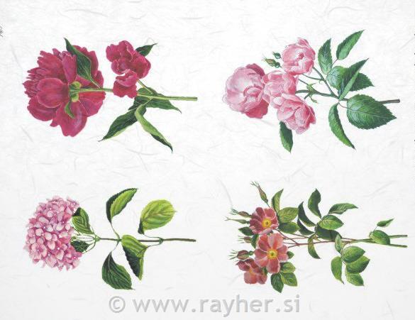 DECOUPAGE PAPIR RIŽEV A4,HORTENZIJA, POT