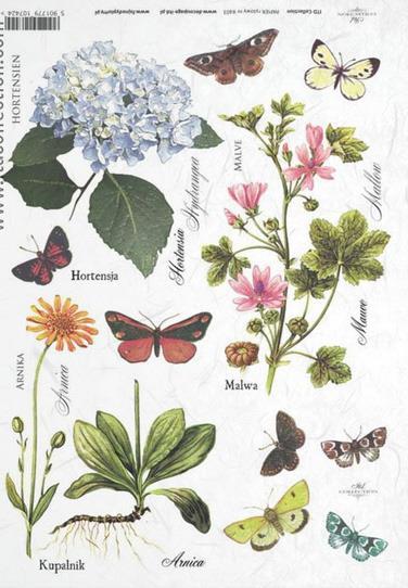 DECOUPAGE PAPIR RIŽEV A4,METULJI,ARNIKA.