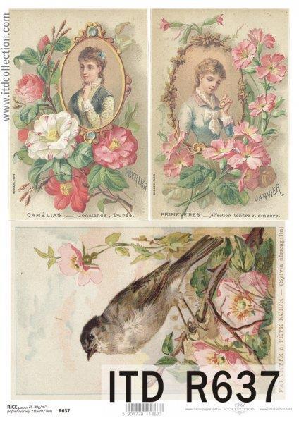 DECOUPAGE PAPIR RIŽEV A4, KAMELIJE,...