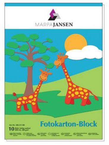 Fotokarton A3 300g 10 listov