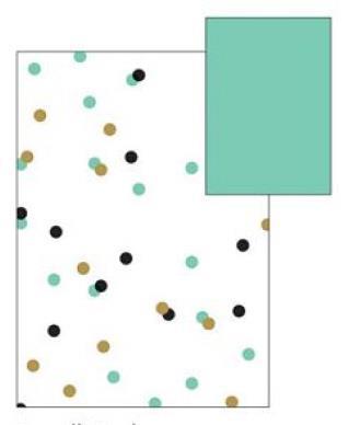 Vario karton 250g 50x70 cm, pastelne pike mentol