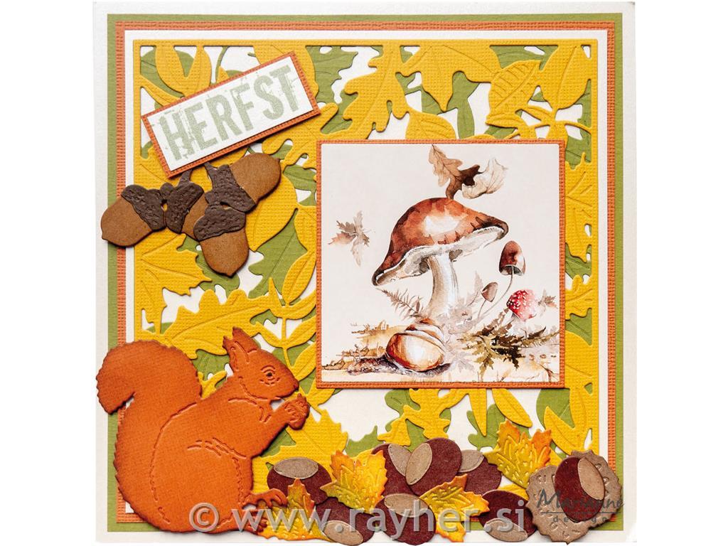 Šablona MD Craftable: Veverica