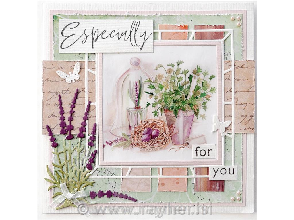 Decoupage paper: Herbs