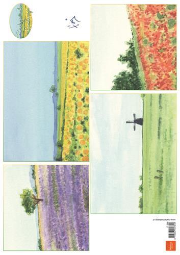 LIST S SLIČICAMI, OZADJA - POKRAJINA