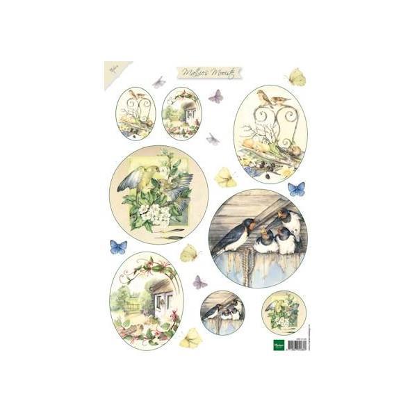 LIST S SLIČICAMI, CVETJE 1