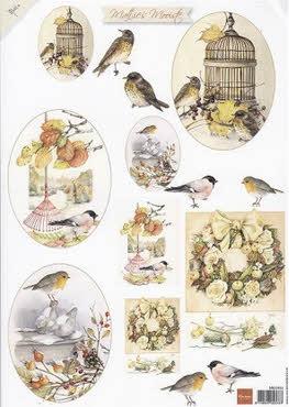 Mattie's Mooiste Autumn birds