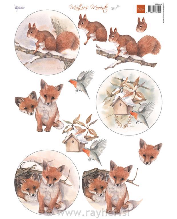 List s sličicami: Veverice