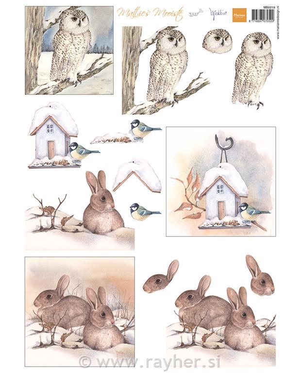 List s sličicami: Sove