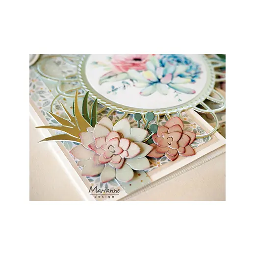 Decoupage paper: Succulents