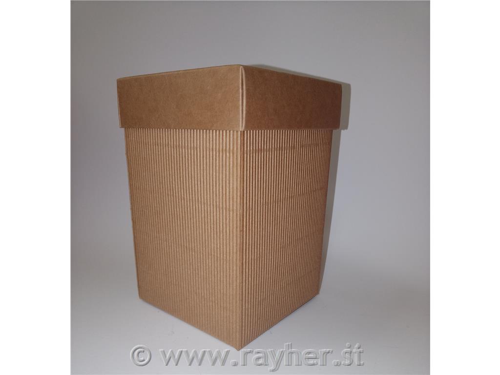 Škatla iz valovite lepenke s pokrovom, 10x10x15 cm