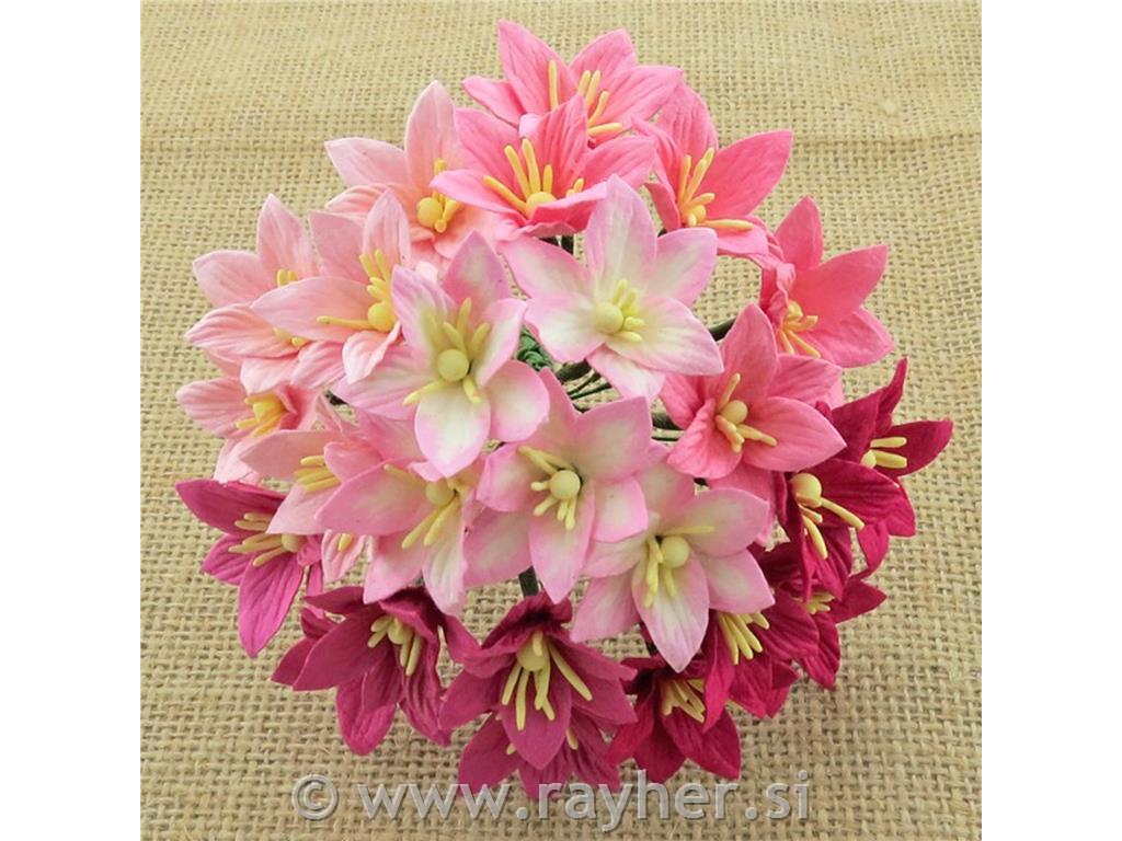 Lilije, rozni toni, set 50, 30mm