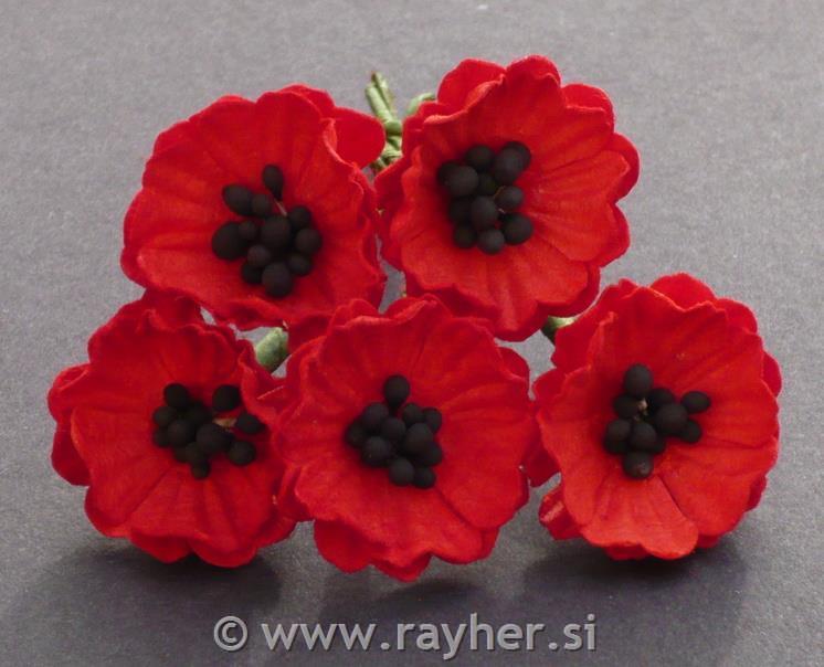 Two Tone Paper Flowers